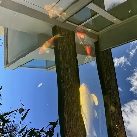 Koi Terrazza Sul Apartment Pianello Del Lario