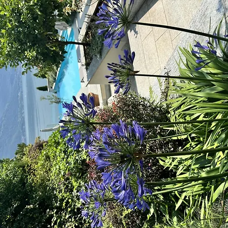 Koi Terrazza Sul *