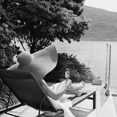 Koi - Where Luxury Meets Serenity